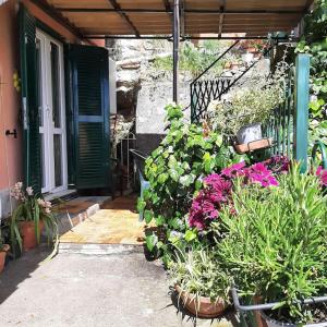a porch with flowers and plants in front of a house at Dal Moro 44 