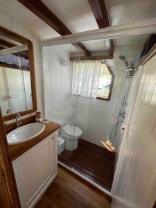 a bathroom with a shower and a sink and a toilet at Escuna clássica 80 pés in Paraty