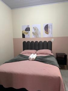 a bedroom with a large bed with a pink blanket at Residencial Davisis - Parada do Jalapão e Aromaterapia in Palmas