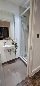 a bathroom with a sink and a shower at Cosy studio flat in North London in London