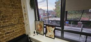 um peitoril de janela com fotografias com vista para uma rua em Cosy studio flat in North London em Londres