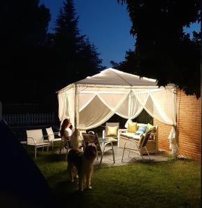 een hond die voor een witte tent staat bij Casa de Mirtha in Madrid