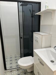 a bathroom with a shower and a toilet and a sink at Studio comfortable charleroi in Charleroi