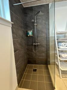 uma casa de banho com um chuveiro e uma porta de vidro em Nuuk Villa Hostel em Nuuk