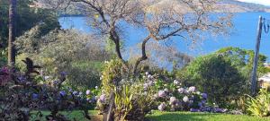 d'un jardin fleuri et d'une vue sur l'eau. dans l'établissement Recanto Inaciano Saúde e Paz, à Capitólio