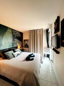 een slaapkamer met een groot bed en een televisie bij Appartement T3 Cosy vue port in Lattes