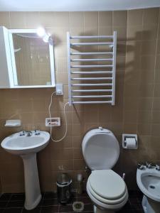 ein Badezimmer mit einem WC, einem Waschbecken und einem Spiegel in der Unterkunft Aires de Montaña - Departamento en Los Penitentes, Mendoza in Los Penitentes