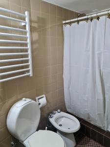 洛斯潘尼坦特斯的住宿－Aires de Montaña - Departamento en Los Penitentes, Mendoza，一间带卫生间和淋浴帘的浴室
