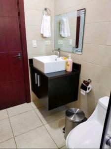 bagno con lavandino, servizi igienici e specchio di Casafrancesbqte a Boquete