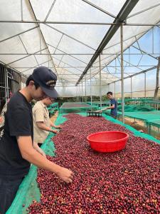 入住Elon Coffee Farmstay的客人