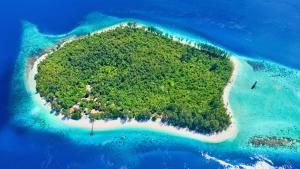 Gallery image of Agusta Eco Resort in Pulau Mansuar