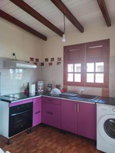 cocina con armarios morados y lavadora en Mango Villa en Les Abymes