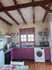 cocina con armarios morados y lavadora en Mango Villa en Les Abymes