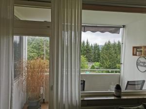 哈嫩克利博克斯維瑟的住宿－Ferienwohnung Harzlich，客厅设有滑动玻璃门,通往阳台