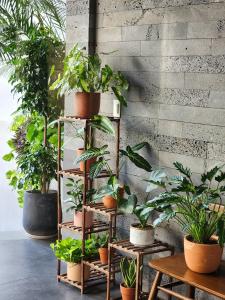 A garden outside The Glomad Boutique Danang