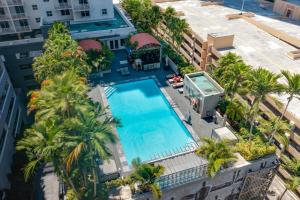 einen Blick über den Pool in einem Gebäude mit Palmen in der Unterkunft Fortune House Hotel Suites in Miami