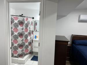 um quarto com uma cama e uma casa de banho com um chuveiro em Executive Guesthouse em Middletown