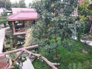 z góry widok na ogród z drzewem i budynek w obiekcie Pan Asiat w Taszkiencie