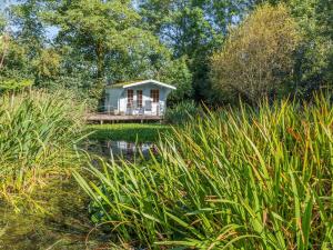 a small house in the middle of a pond at The Owls Hollow - Uk45297 in Bishop Thornton