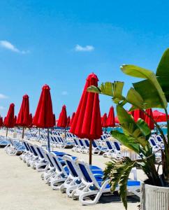 un grupo de sillas y sombrillas en una playa en PORTO MARINA North Coast -الساحل الشمالي بورتو مارينا العلمين en El Alamein