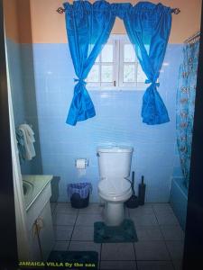 a blue bathroom with a toilet and a window at Jamaica Villa By The Sea in St Mary