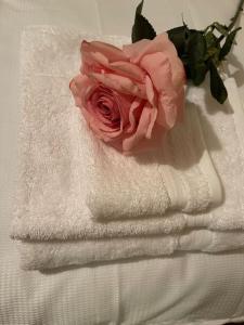 eine rosa Rose auf einem weißen Handtuch in der Unterkunft Bushtown Lodge in Macosquin