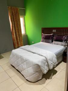 a bedroom with a green wall and a white bed at HOLI FLATS in Accra