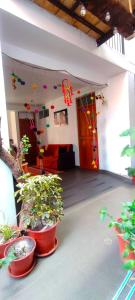 Foto sihtkohas Cusco asuva majutusasutuse Qolmay Hostel Cusco galeriist