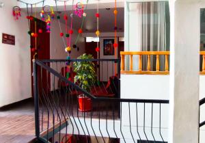 a balcony with a plant and decorations in a building at Qolmay Hostel Cusco in Cusco