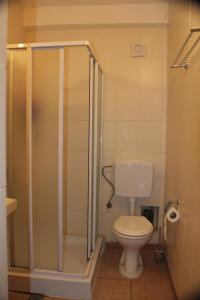 a bathroom with a toilet and a shower at Villa Panorama Struga, Elen Kamen in Struga