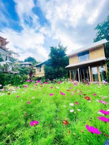 a field of flowers in front of a house at Nay Bungalow Dalat in Da Lat