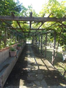 A garden outside Casa Vacanze Liperni