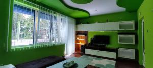 ein grünes Wohnzimmer mit einem Sofa und einem TV in der Unterkunft Апартамент ВИСАИ in Blagoewgrad