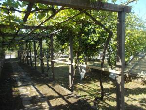A garden outside Casa Vacanze Liperni