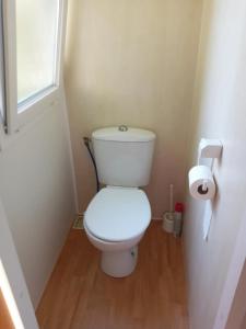 a small bathroom with a toilet with a roll of toilet paper at Mobil Home Saint Paul lès Dax in Saint-Paul-lès-Dax