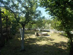 A garden outside Casa Vacanze Liperni