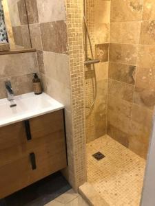 a bathroom with a shower and a sink at Le Cocon-Centre Ville-Canal Royal in Sète