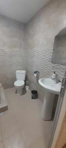 a bathroom with a toilet and a sink at Marekhi guest house in Sagarejo