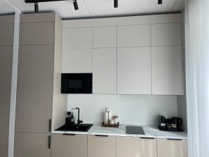 Kuchyň nebo kuchyňský kout v ubytování Esplanaadi 10 LUX Apartment