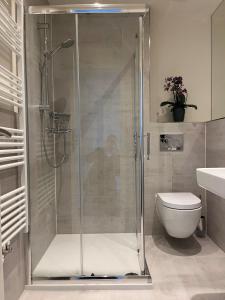 a glass shower stall in a bathroom with a toilet at Seaside-Amrum-15 in Norddorf