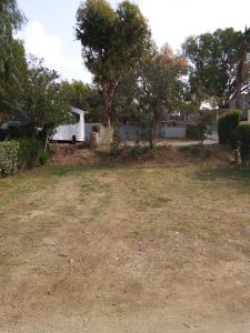 een witte trailer geparkeerd in een tuin met bomen bij Camping les Acacias in Fréjus