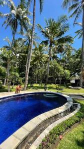 einen Pool in einem Park mit Palmen in der Unterkunft Bali Cottage Sambirenteng in Buleleng