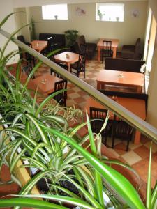 Posezení v ubytování 12 Months Mini Hotel