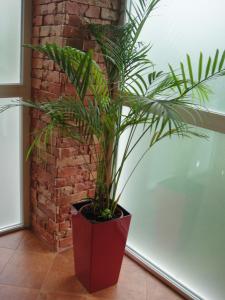 Bazén v ubytování 12 Months Mini Hotel nebo v jeho okolí