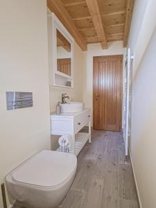 a bathroom with a toilet and a sink at Haus Rether - Transylvanian Guesthouse in Buneşti