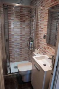 a bathroom with a toilet and a shower and a sink at La bona vida Vitoria in Arriaga