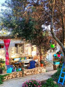 un patio avec des chaises, une table et un arbre dans l'établissement Cala Creta, à Lampedusa
