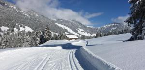 a snow covered road with a building in the distance at Landhaus in Balderschwang