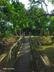 a wooden walkway over a bridge in a park at Sukau tomanggong view bed & breakfast in Sukau