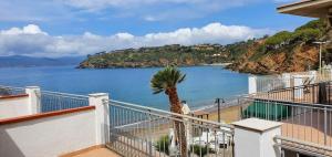 a balcony with a palm tree next to a body of water at Hotel Villa Miramare in Capoliveri